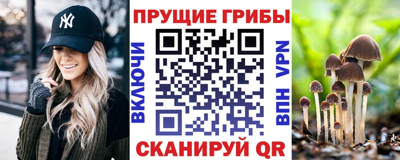 Псилоцибиновые грибы Cubensis  даркнет сайт  мега маркетплейс  Феодосия 